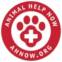 animal help now logo