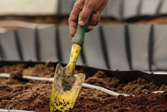 person holding yellow and green gardening shovel
