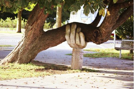 brown tree support