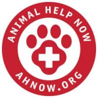 animal help now logo